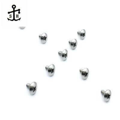 Cross Recessed Pan Head Self Tapping Screw for Window Hardware Accessories Made in China