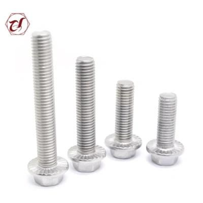 Stainless Steel SS304 SS316 Hexagon Flange Bolts DIN6923