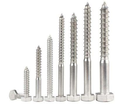 DIN571 Hex Head Stainless Lag Bolts Cartons &amp; Pallets or According to Customer&prime;&prime;s Requirement. 10mm-300mm. Sokun