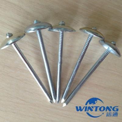Roofing Nails, Umbrella Head Twisted Shank Smooth Shank, Corrugated Nail Production