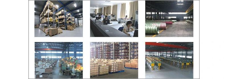 Made in China Fasteners Factory Price Galvanized Bolt HDG U Bolt 4.8 6.8 8.8 Hex Bolt and Nut Zinc Plated Anchor Bolt