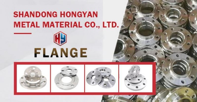 Pipe Connector Fitthing Steel Flange SS304L/316 Stainless Steel Flanges