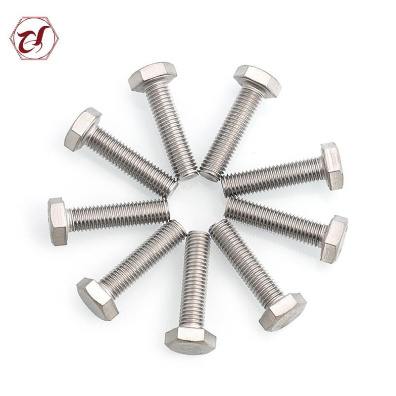 Flat Head Stainless Steel 304 Hexagon Bolt with Nut/Assemble Bolt/SS316 Bolt