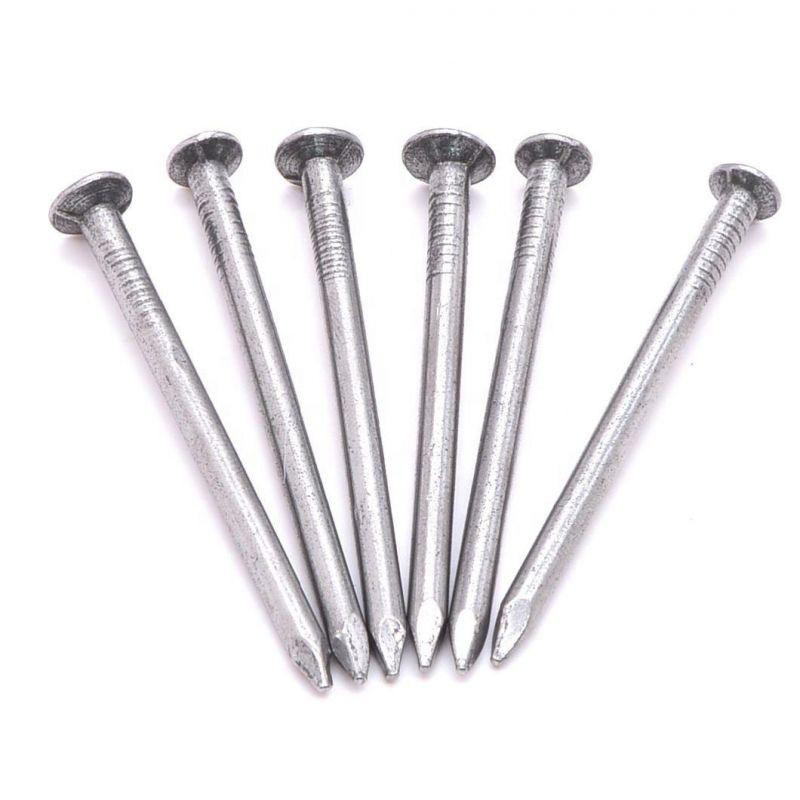 Hot Dipped Galvanized Common Nail/Polished Nail/Building Nail/Iron Nail/Hardware Used for Building Construction