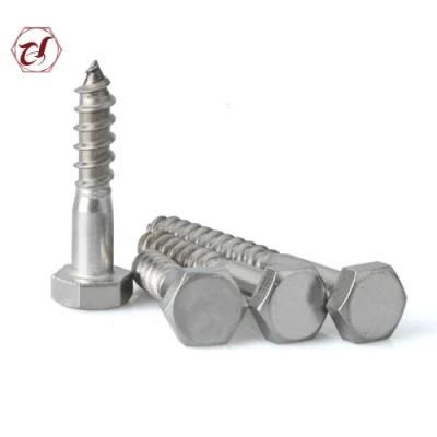 Stainless Steel 316 DIN571 Flat Wood 304 Lag Screw
