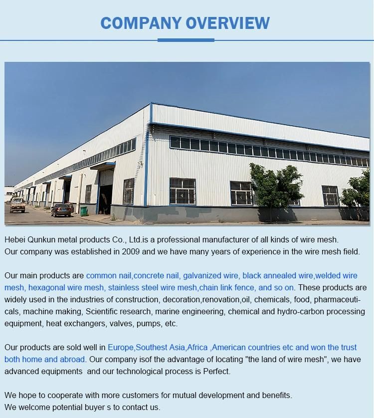 Q195 or Q235 Steel Material Common Wood Nails
