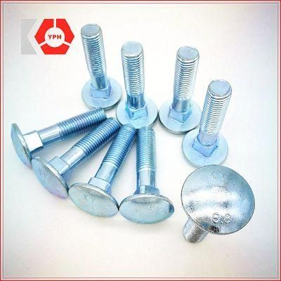 Stainless Steel Carriage Bolt