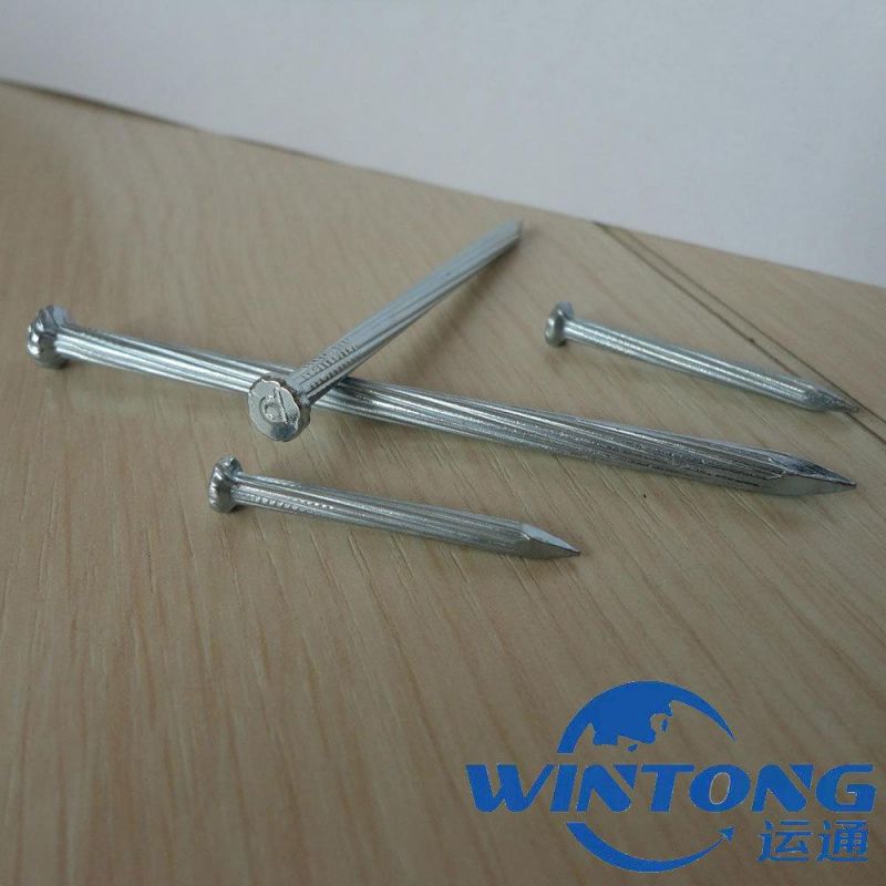 Galvanized Concrete Nails Black Hardware Nails