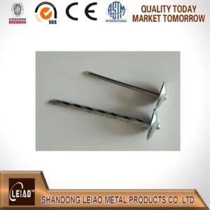 Galvanized Wire Roofing Nails