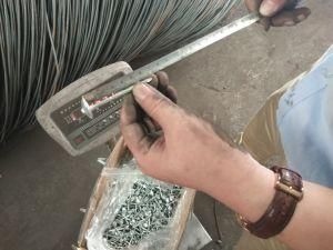 Bwg9*2.5 Umbrella Head Nail, Galvnized Roofing Nail with Umbrella Head
