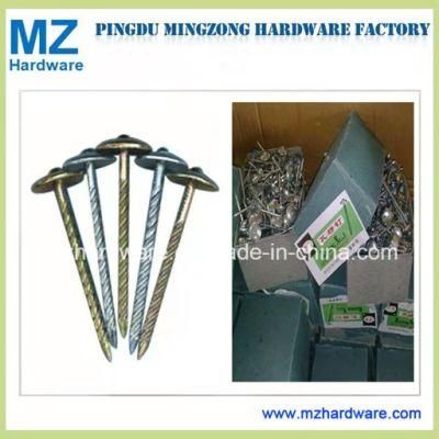 Hot Sales Galvanized Umbrella Head Roofing Nail Plain Twist Shank