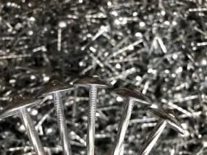 Umbrella Head Galvanized Roofing Nails Screw Nails for Roofing Material