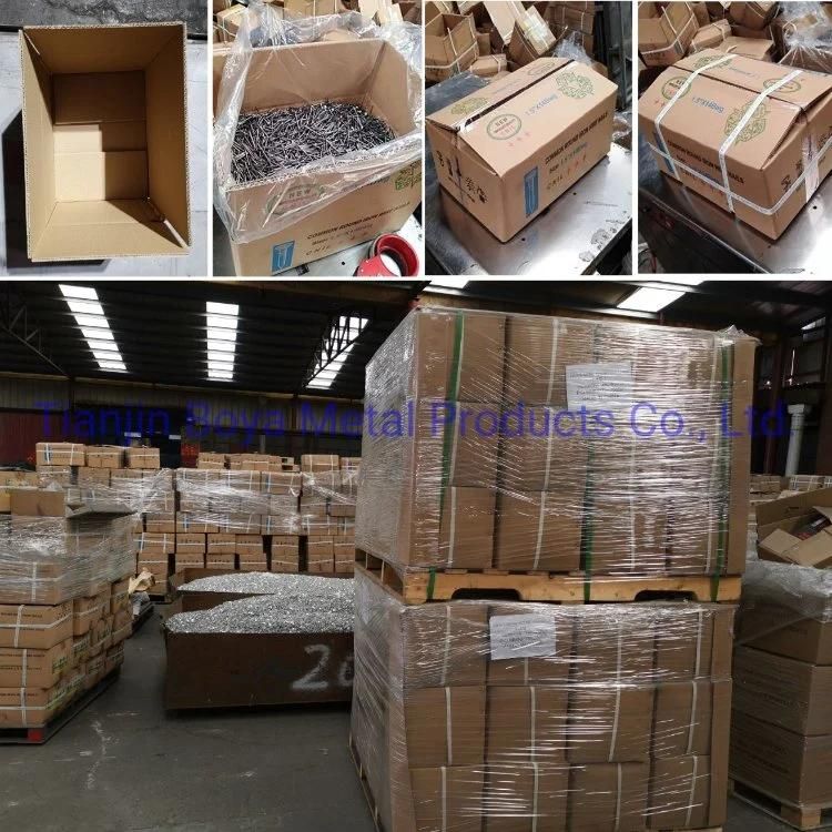 Duplex Head Nail/Duplex Nail/Double Head Nail/Two Head Nail/Iron Nail/Nail