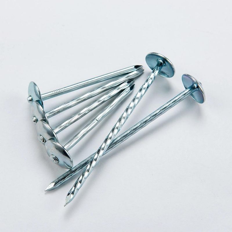 Galvanized Roofing Nail with Umbrella Head for Building and Connect