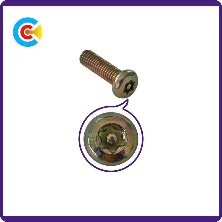 Stainless Steel Screws Light Fixture Screws Security Torx Tr Screw