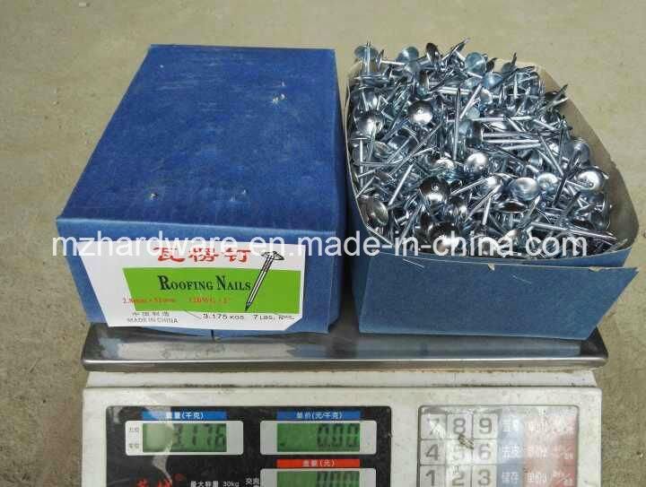 Umbrella Mushroom Head Smooth Twisted Screw Shank Roofing Nail