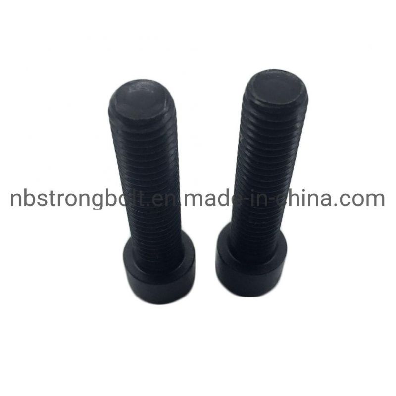 Hexagon Socket Head Cap Screw with Black