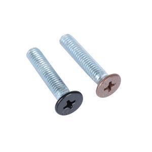 Head Painted DIN965 Machine Screws