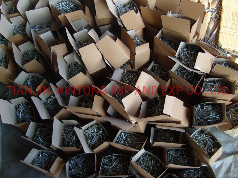 Hot Dipped Galvanized Screw Roofing Nails Concrete Nails with Washer