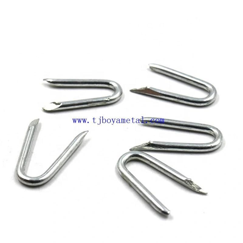 Polished U Type Nail 18ga 9012 9040 Industrial Fence Staple Zinc Coated Nails in China Factory Lowest Price