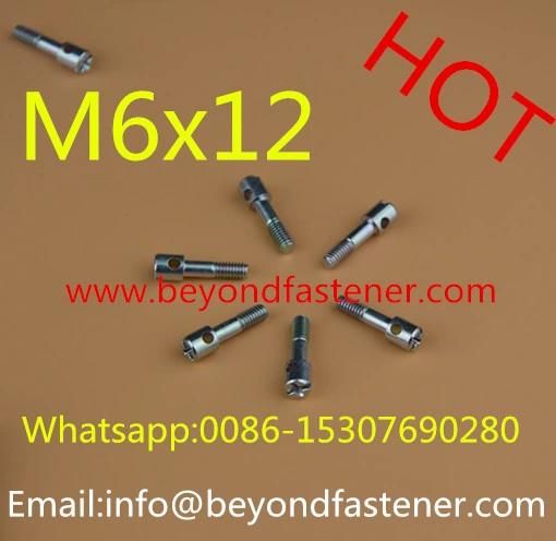 Meters Screw /Machine Screw/Terminal Cover Screw/Sealing Bolts