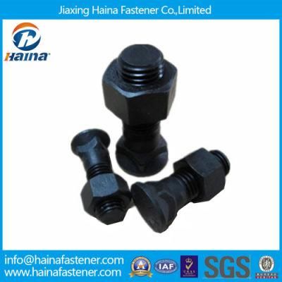 12.9 Grade Metric Plow Bolt with Nut From Jiaxing Haina