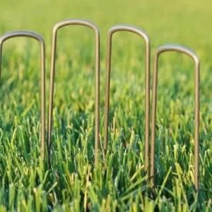 High Quality Coating Green U-Type Grass Nails