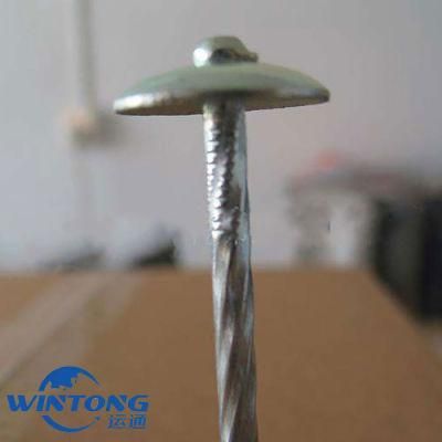 High Quality Galvanized Roofing Nails, Twisted Shank Umbrella Head Roofing Nails