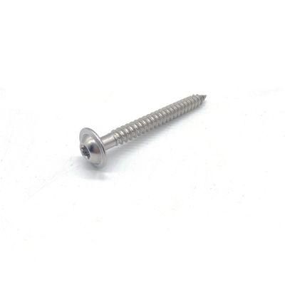 A4 A2 Stainless Steel 304 316 Pan Head Cutting Tail Self Tapping Screw