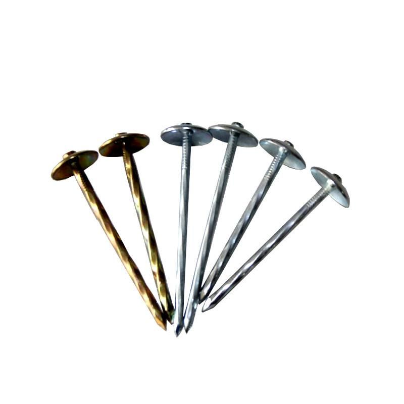 Twist Shank Roofing Nail with Umbrella Head in Guangzhou