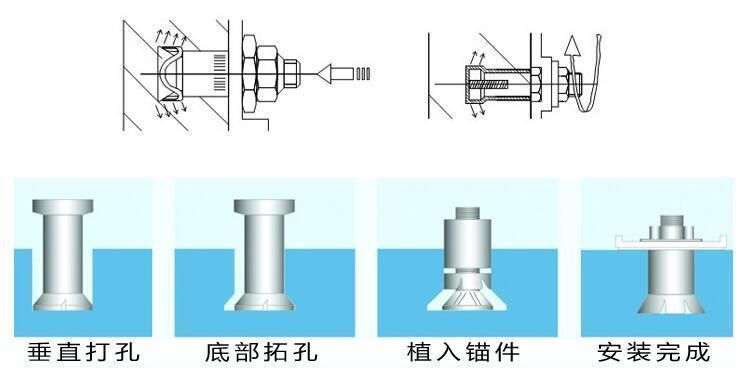 Wholesale Stainless Steel Fastener Undercut Anchor Bolt Back Bolt for Stone Material