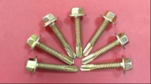 Hex Screws