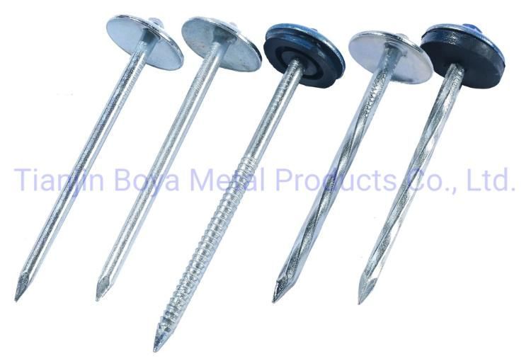 Good Quality Galvanized Umbrealla Head Roofing Nail