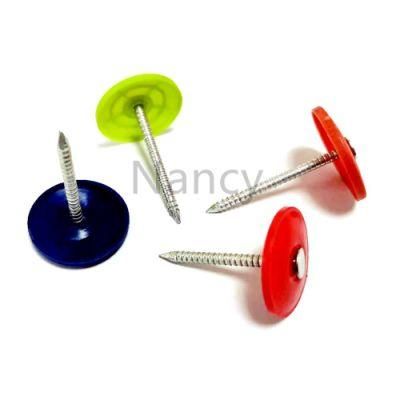 Q195/Q235 Flat Round Head Plastic Cap Ring Shank Nails 1lb
