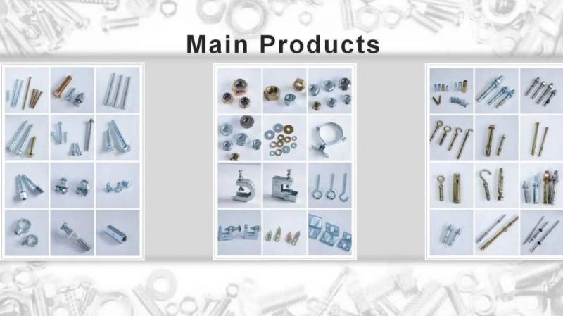 China Manufacturing Wholesale Price Expansion Eye Bolt DIN580 Steel Eyebolt Eye Bolts Customized Zinc Plated