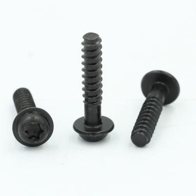 M3 M4 Black Zinc Plated 304 Stainless Steel Pan Washer Head Torx Screw