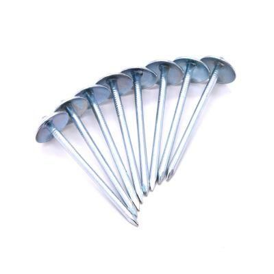 Ghana/Nigeria/Benin Market Galvanized Umbrella Roofing Nails