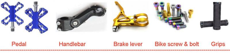 Socket Head Cap Bolts for Bicycle, Hex Socket Bolt for Bike