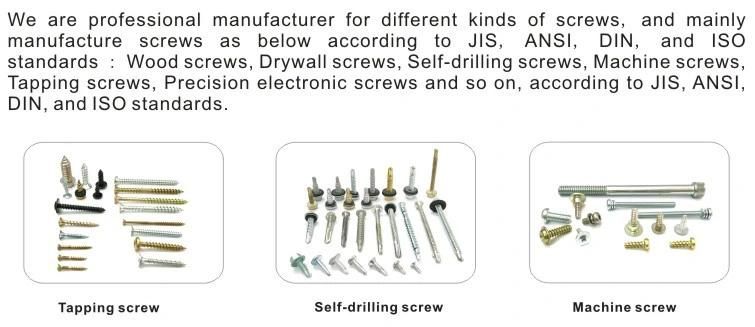 High Quality White Zinc Phillips Carbon Steel Crossed Recessed Pan Head Self-Drilling Screws