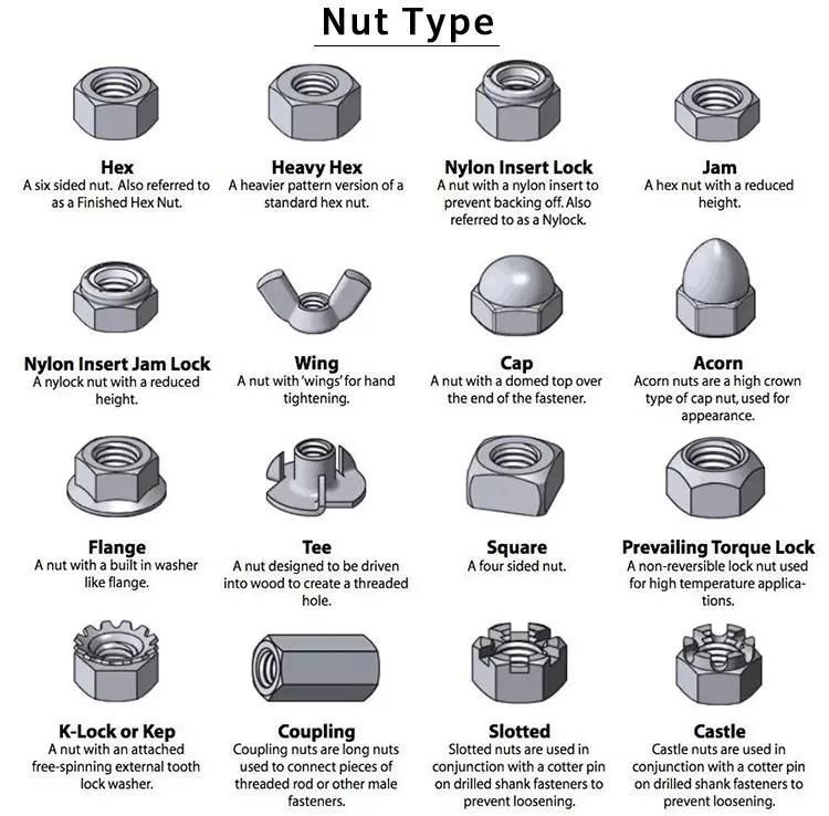Aluminum Industry Accessories M4-M48 T Type Nut Hammer-Type T Slot Nut
