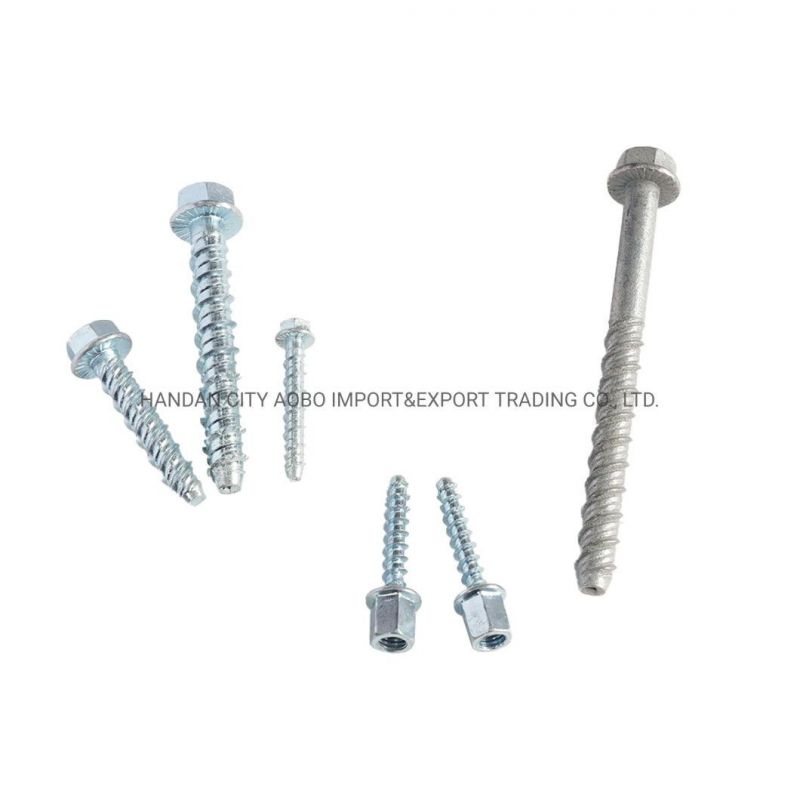 Chinese Fastener Factory Supplied Carbon Steel Grade 4.8 and 5.8 White Zinc Plating and HDG Hex Head Concrete Screws with Reasonable Price and High Quality