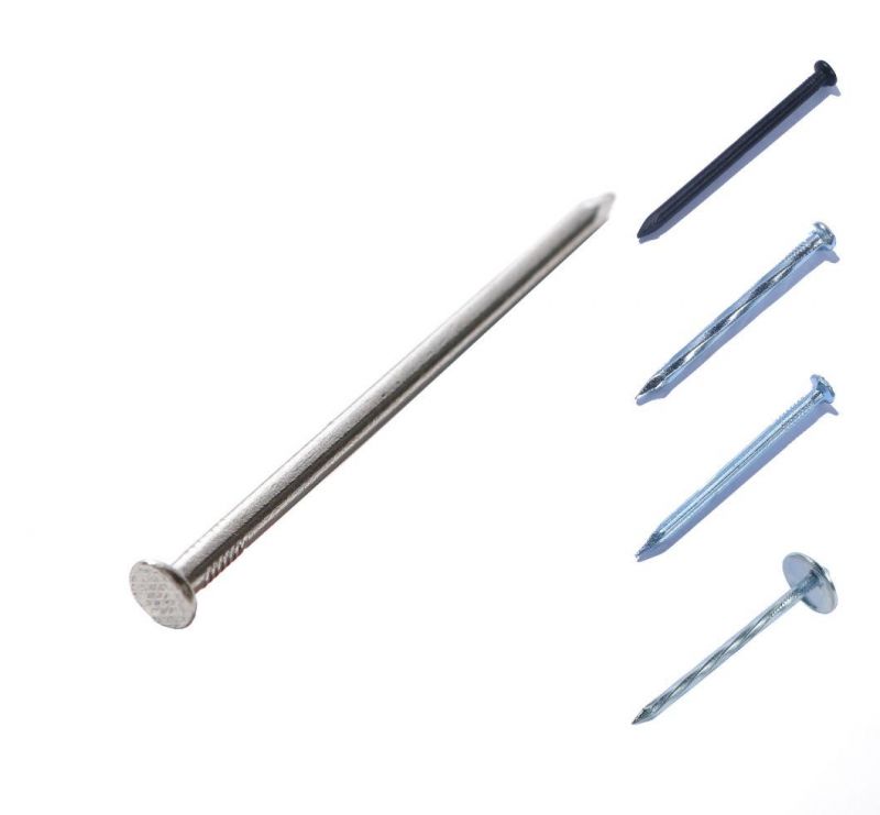 South Africa Nigeria Market/Roofing Nail with Rubber Washer Galvanized Roofing Nails