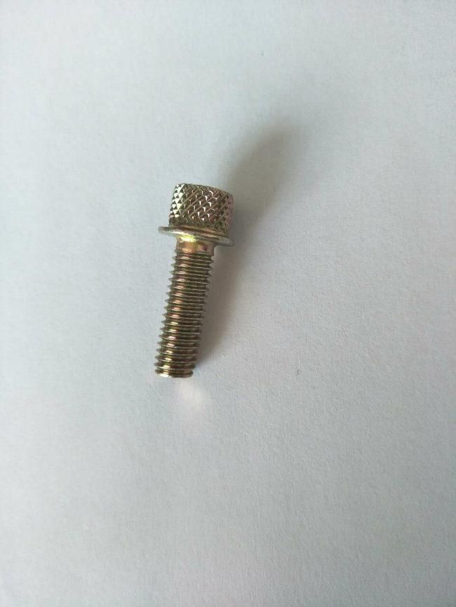 DIN/ANSI/BS/JIS Carbon-Steel/Stainless-Steel 4.8/8.8/10.9 Galvanized Rolling Screw for Bridge Railway