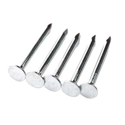 Factory Hot Sale! ! Large Flat Head Galvanized Roofing Nails