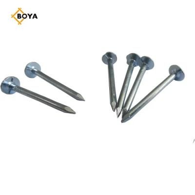 Electro Galvanized Clout Nail with Cheap Price