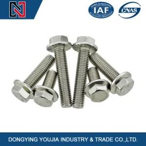 GB5789 Large Hexagon Flange Bolt
