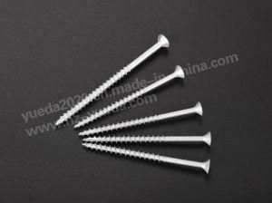 #17 Csk Philip Head Self Tapping Screw with Nibs