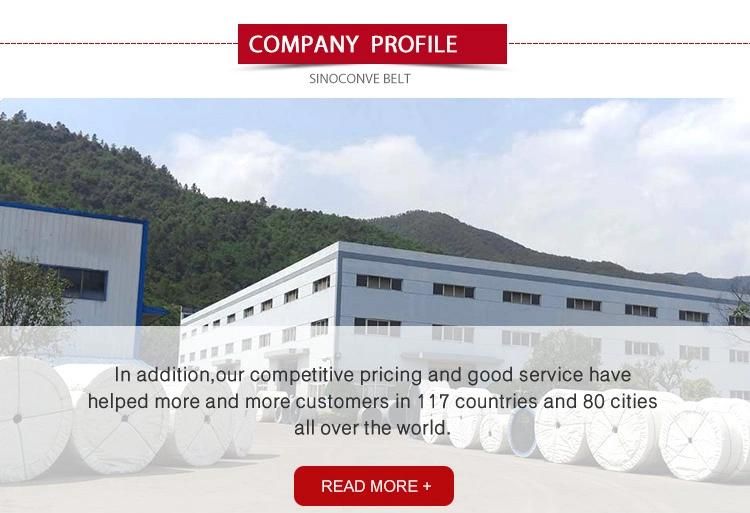 Standard Conveyor Belt Fastener with China Manufacturer
