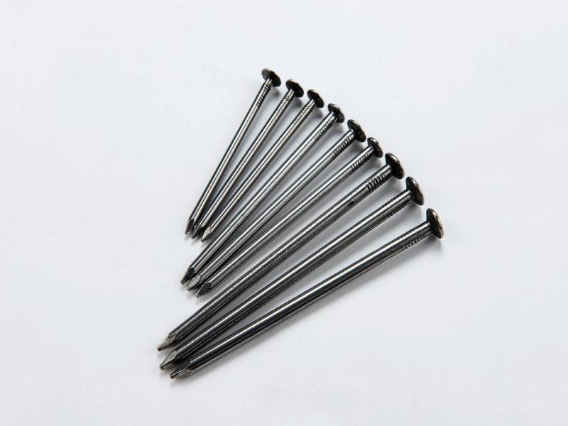Common Round Iron Wire Nail with Lowest Price