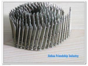 Stainless Steel Coil Nail